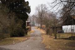 cTadeas_Hlasek2025_Masopust_051_01032025