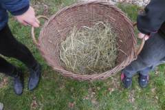 Škroukání v Jetřichovci 25. 3. 2016