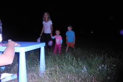 DSCN0971