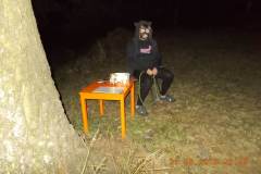 DSCN0650