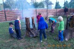 DSCN0679