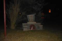DSCN0353