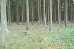 DSCN0593