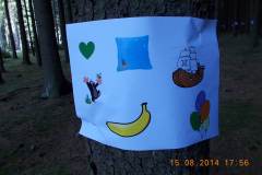 DSCN0595