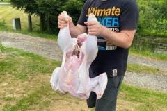 received_288721052435003