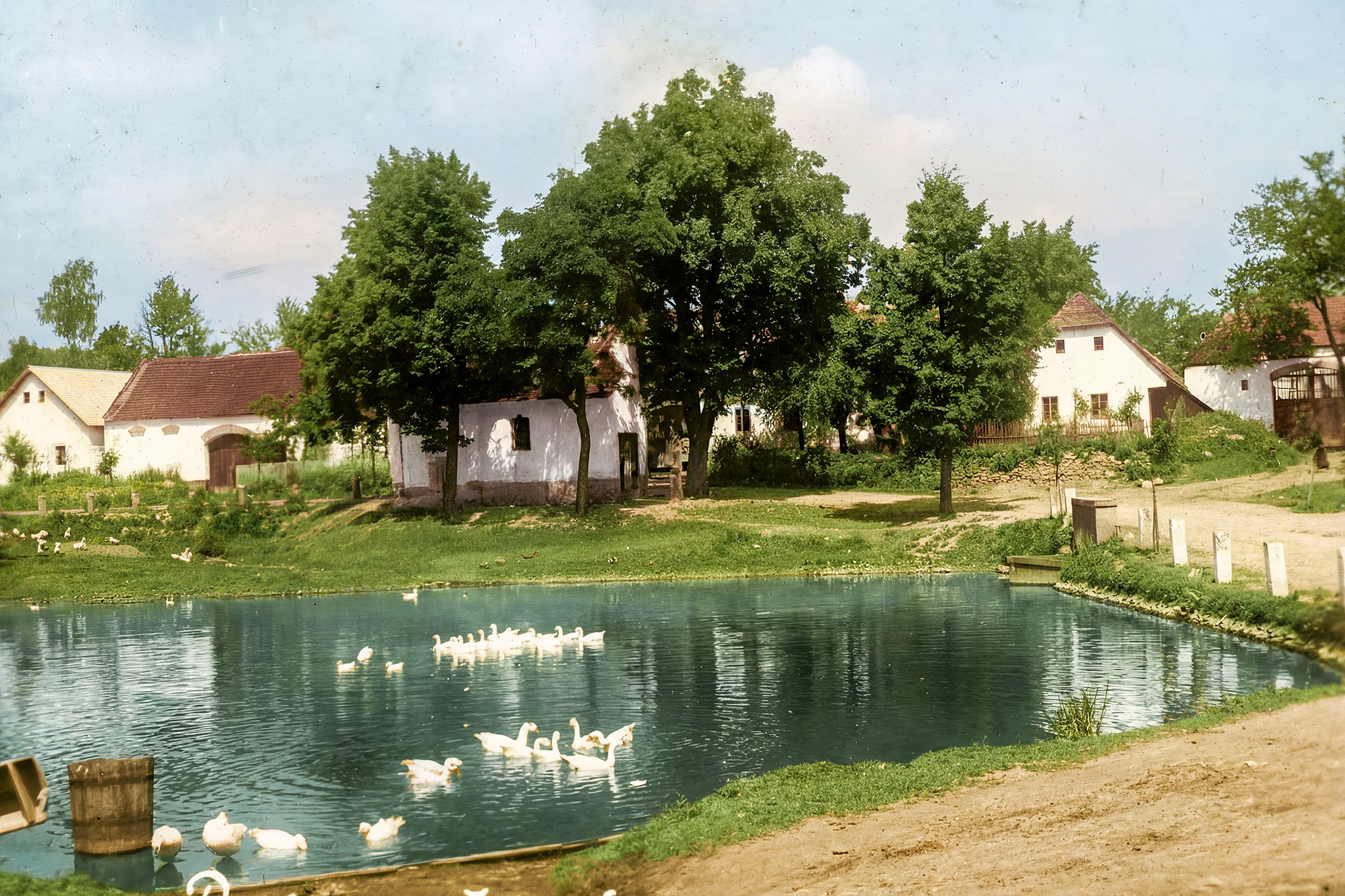 Jetřichovec - historie